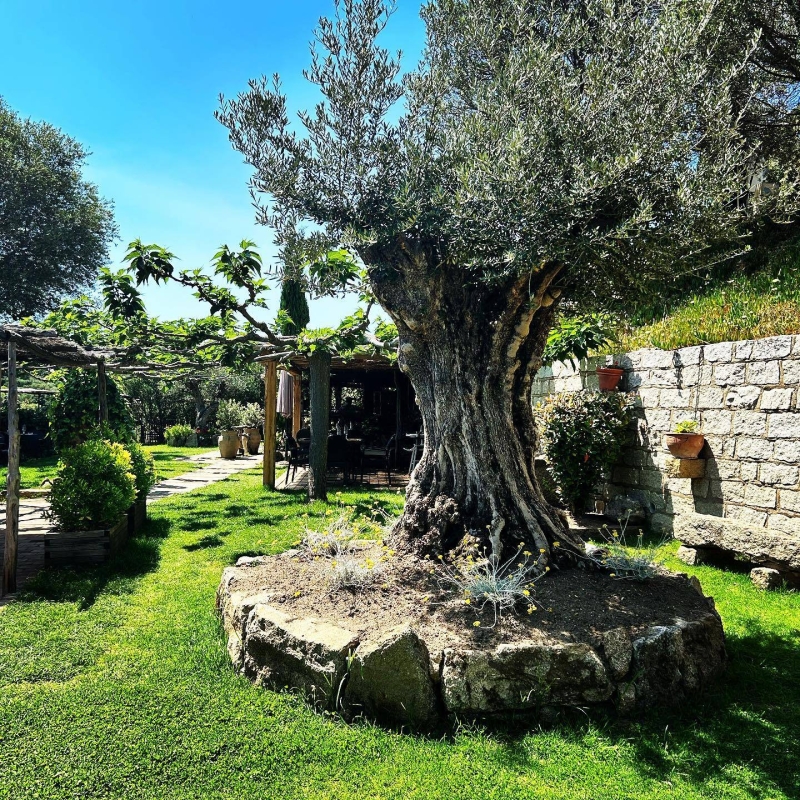 U Sirenu - Restaurant Sartene - top resto SARTENE